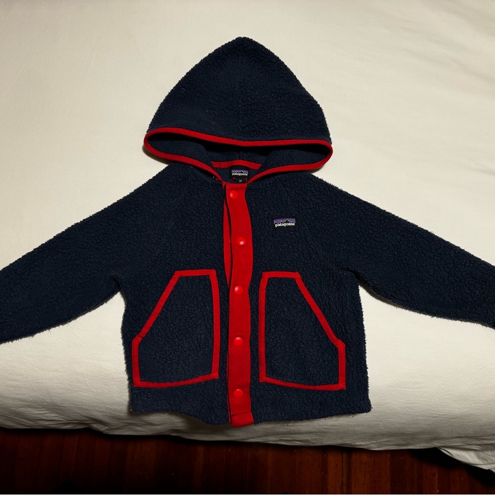 Patagonia Retro Fleece Hoodie Size 3T